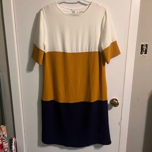 Knee length Jessakae dress